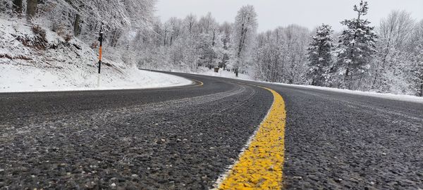 Surface level of road amidst trees during winter