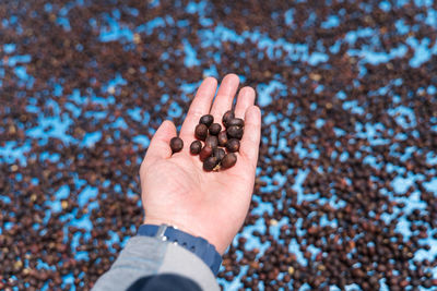 Close-up of hand holding ice cream