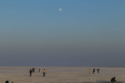 People on beach against clear sky