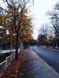 Road amidst bare trees during autumn