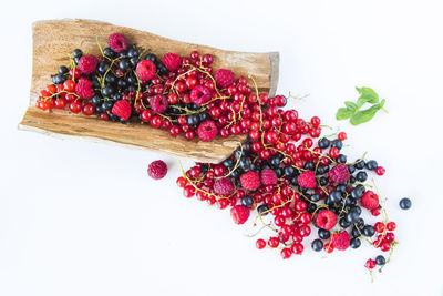 High angle view of berries on table against white background