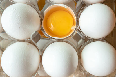 High angle view of eggs in container