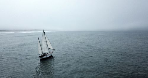 Sailboat sailing on sea against sky