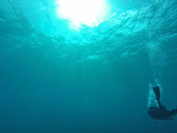 View of turtle swimming in sea