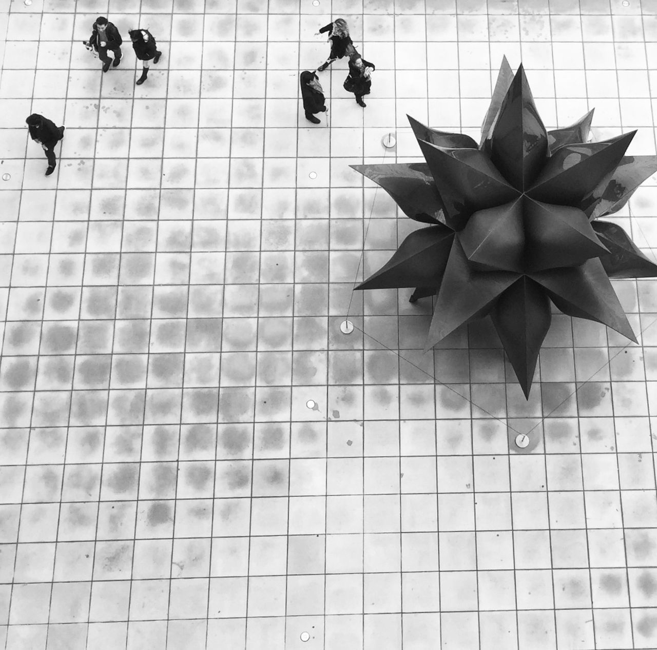 tiled floor, indoors, high angle view, table, tile, pattern, paper, real people, day, bird