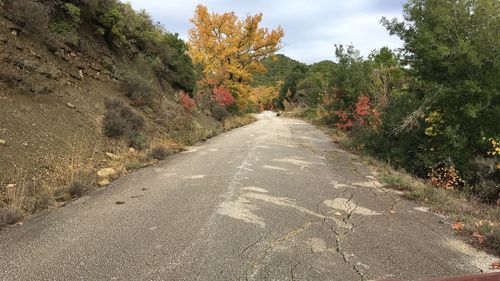 Road amidst trees against sky during autumn