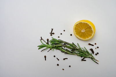 High angle view of fruits against white background