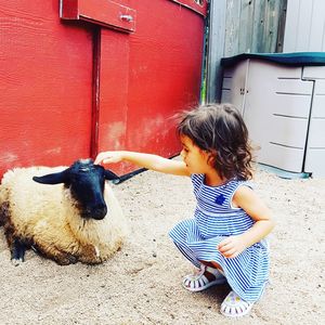 Girl touching goat while crouching at farm