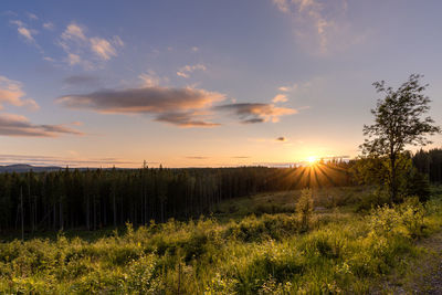 Scenic view of field against sky during sunset