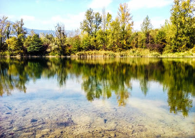 Scenic view of lake in forest against sky