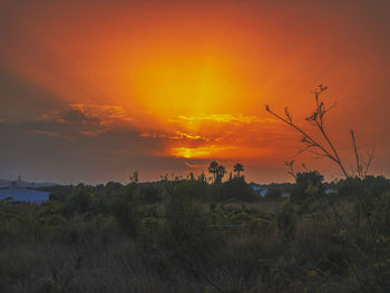 Scenic view of field against orange sky