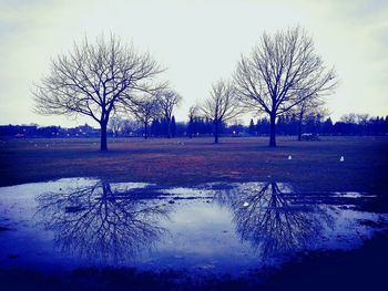 Bare tree by lake against sky during winter