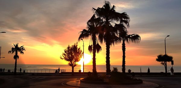 Silhouette palm trees on beach against sky during sunset