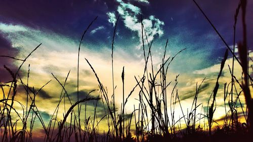 Scenic view of landscape against cloudy sky