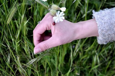 Midsection of woman hand on grassy field