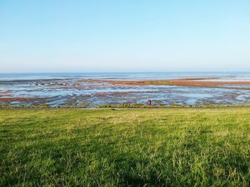 Scenic view of sea against clear sky