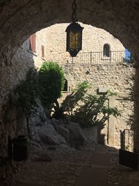 Built structure hanging from tree