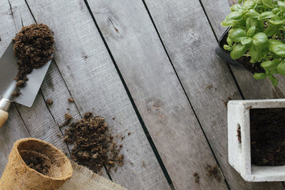 Gardening concept. eco pot with green plant, shovel, dirt on wooden background. garden hobby