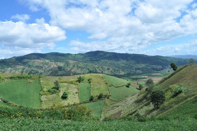 Scenic view of landscape against sky