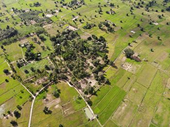 High angle view of agricultural field