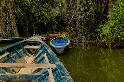 Boat moored in forest