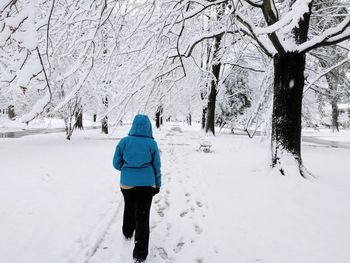 Rear view of wowan walking on snow covered path lined by trees in louisville, kentucky