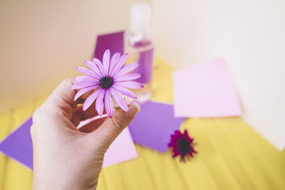 Cropped hand of woman holding flower