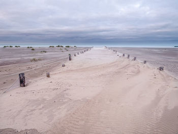 Wooden stakes in light colored sand leading the path towards the sea