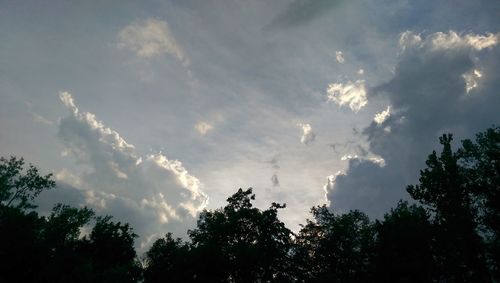 Low angle view of trees against cloudy sky