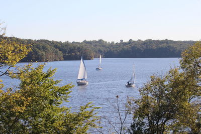 Sailboats in lake against clear sky