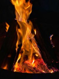 Close-up of bonfire at night