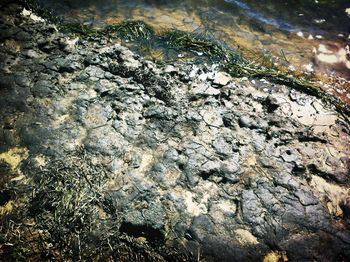 Rocks in water