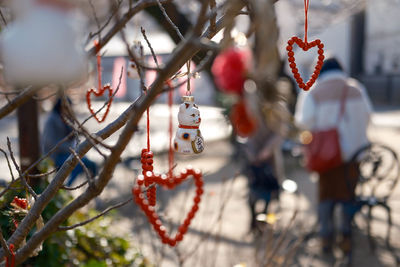 Close-up of christmas decorations