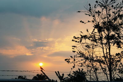 Silhouette trees against sky during sunset