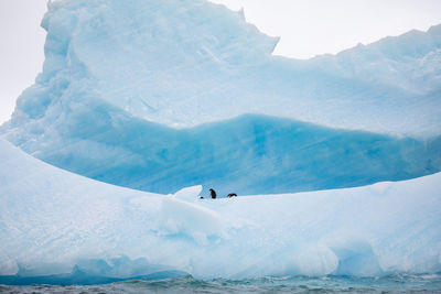 Scenic view of snowcapped mountains
