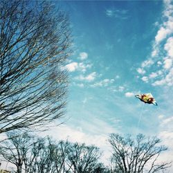 Low angle view of bare trees against sky