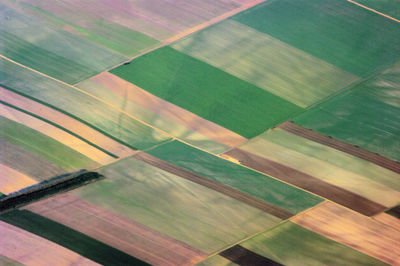 Full frame shot of agricultural field