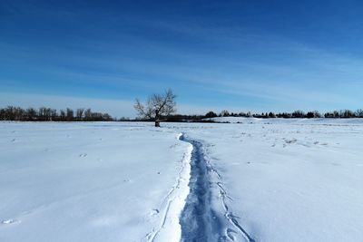 Snow covered landscape against blue sky