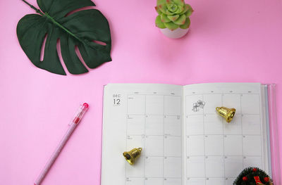 Directly above shot of pen by diary and bells with plant against pink background