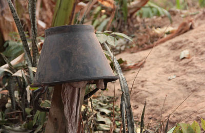 Close-up of abandoned metal plant