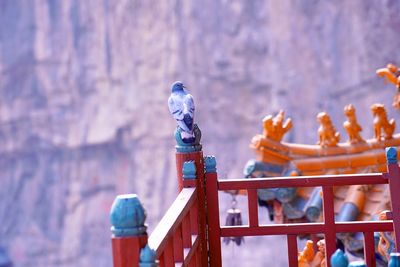 Close-up of bird on metal railing at temple