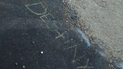 High angle view of leaf