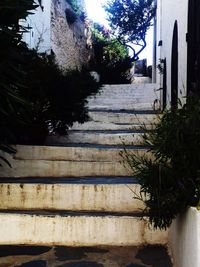 Steps leading to building