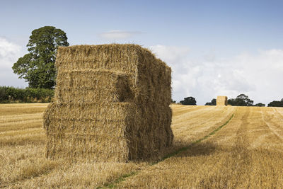 Hay bales on field against sky