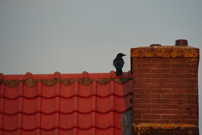 Low angle view of sculpture on roof against building