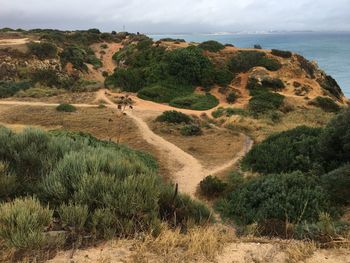 Scenic view of landscape and sea against sky