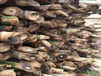 Full frame shot of logs in forest