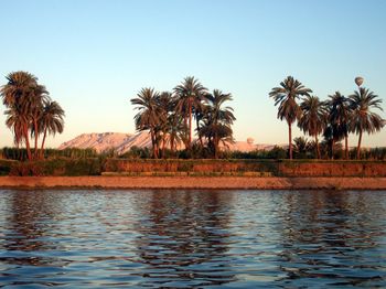 Palm trees by sea against clear sky