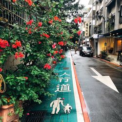 Street amidst plants and road in city