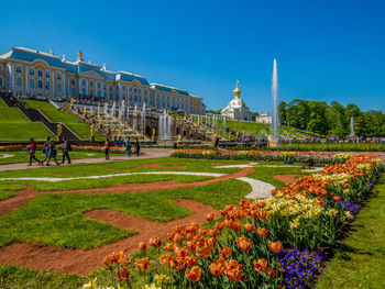 View of flowering plants in garden against buildings